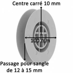 Poulie à sangle Zurfluh-Feller