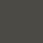 Gris terre d'ombre 125