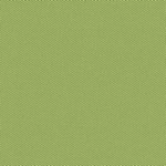 Samara 2733